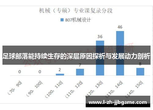 足球部落能持续生存的深层原因探析与发展动力剖析